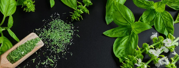 Poster Aroma Fresh basil on a dark background. Green basil. Green basil on a dark background. Food background. A lot of basil.Long banner