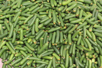 Cucumber from Flower to Vegetable