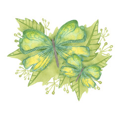 Watercolor illustration. Two decorative green butterflies on green tropical leaves on a white background