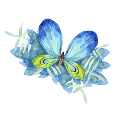 Watercolor illustration. Beautiful blue green butterfly on green tropical leaves. isolated on a white