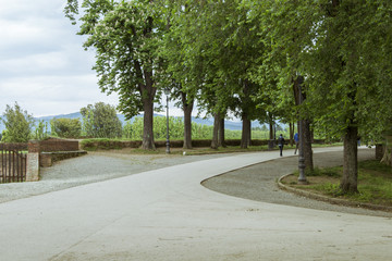 Park on the historic walkable city wall of the Italian city of Lucca in the Pisa region