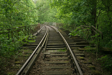 Fototapeta premium old railway in the forest