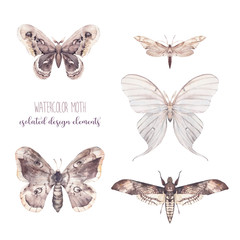 Watercolor butterfly set. Hand drawn insect collection isolated on white background. Natural illustrations