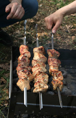 forest meat barbecue 