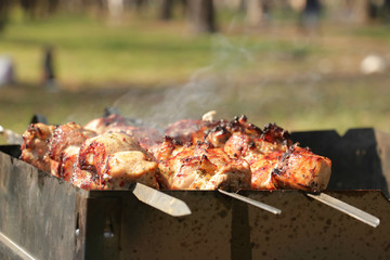 summer barbecue in the foresrt