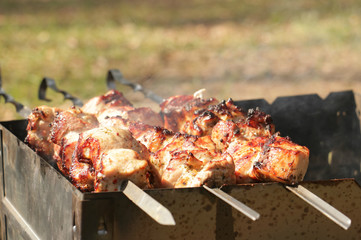barbecue meat on picnick