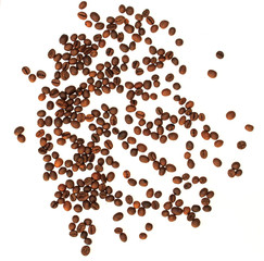 Coffee beans isolated on white background close up