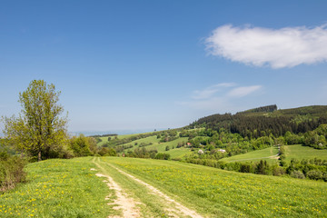 Spring countryside with dirt road through green meadows