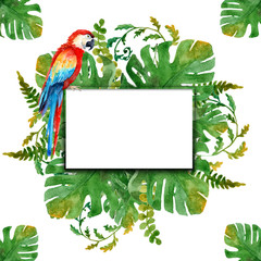 Watercolor drawings of tropical leaves. Frames and Dividers