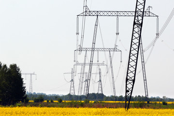 Power line pylons in yellow rape fields