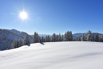 Deeply snow-covered landscape in the mountains with forests and the sun at a beautiful winter day.Allgaeu Alps, Bavaria, Germany