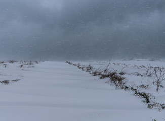 Wind swept snow path