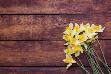 Spring flower Narcissus on a dark wooden background. Flat lay, top view