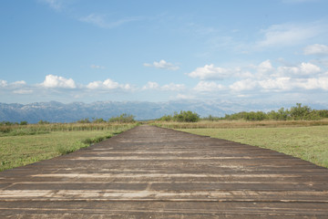 summer path in the middle of the sea