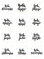 Hand drawn lettering phrase Hola, meses in spanish collections isolated on the white background. Fun brush ink vector calligraphy illustrations set for banners, poster design. © tumana_net