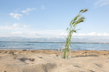 summer weed bouquet on the summer beach