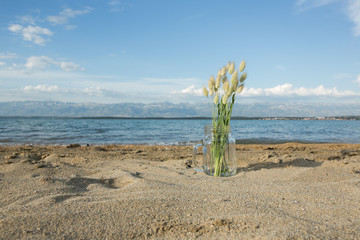 summer weed bouquet on the summer beach