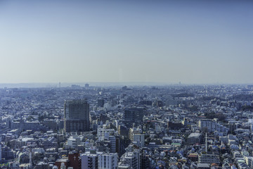 Fototapeta na wymiar Sanken-chaya, Tokyo, skyline