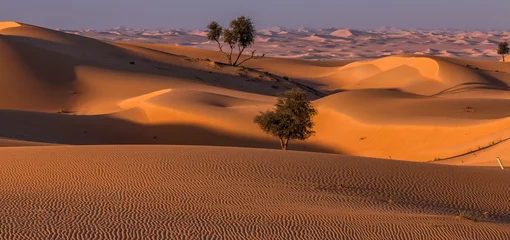 Foto auf Acrylglas Wüste der Vereinigten Arabischen Emirate © Madlen Steiner
