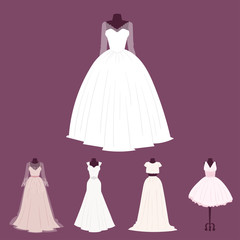 Wedding bride dress elegance style celebration bridal shower clothing accessories vector illustration.