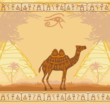 Vintage background with pyramids giza and camel