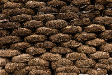 Blocks from manure are used as fuel for heating the house during the cold period