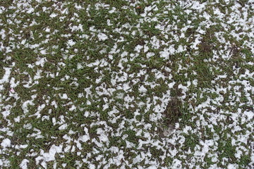 Thin layer of snow on grass from above