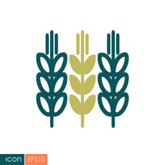 Spikelets and grains of wheat icon