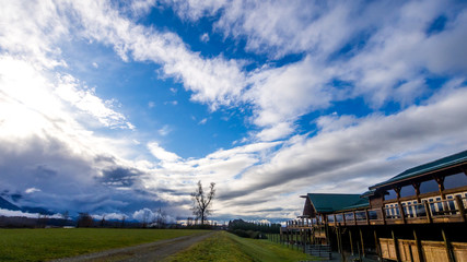 Obraz premium OLYMPUS DIGITAL CAMERA