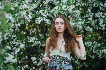 Fototapeta premium A beautiful girl in a dress stands next to a blooming cherry bush.