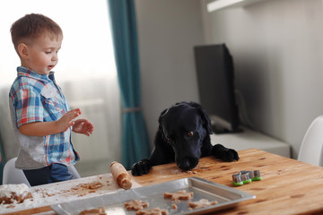 A blond boy in a plaid shirt prepares a dough, holds a rolling pin in his hand, sprinkled with flour beside a black dog