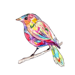 a bird on a branch. watercolor
