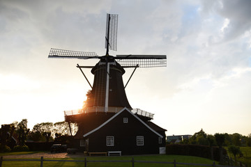 Obraz premium Dutch windmill by sunset