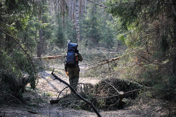 Traveler is walking on footpath through forest alone