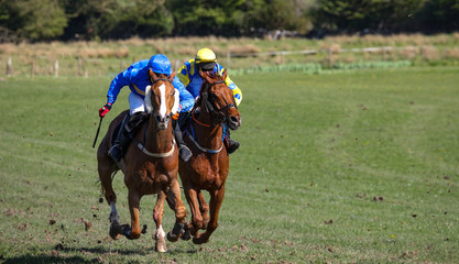 two galloping race horses competing in a racing competition 