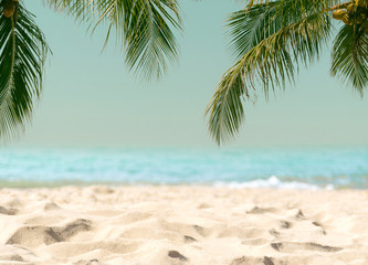 Obraz na płótnie Canvas Palm trees coconut beach sea sky in the summer of the holiday vintage toned