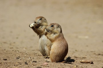 zusammen schmeckt es doppelt besser