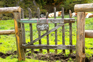 wooden fence