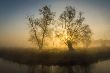Fototapeta na wymiar Sunrise over the trees at Jeziorka river near Piaseczno, Poland