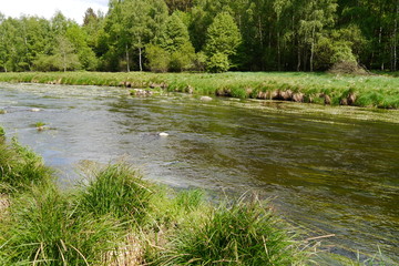 Fototapeta na wymiar Die Pfreimd ist ein Fluss in der Oberpfalz.