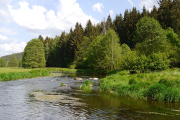 Fototapeta na wymiar Die Pfreimd ist ein wilder Fluss im Oberpfälzer Wald.
