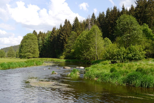 Die Pfreimd ist ein wilder Fluss im Oberpfälzer Wald.