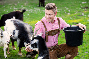 blond bavarian man feeding goats outdoors
