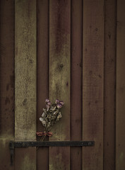 Old roses on a wooden door.