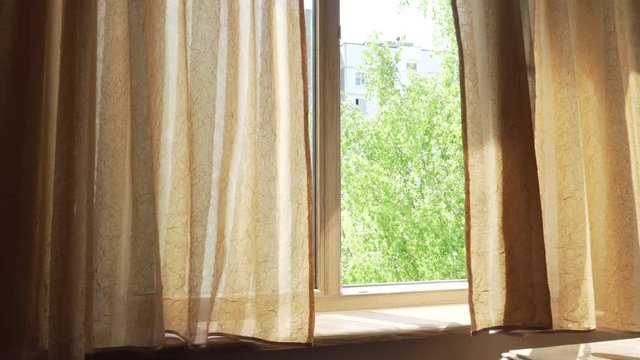 Beige window curtains moving on the wind