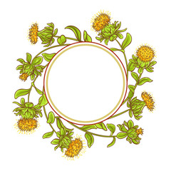safflower plant vector frame
