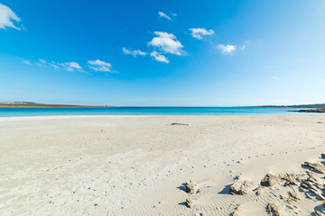 white sand in La Pelosa