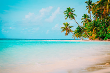 Obraz na płótnie Canvas tropical sand beach with palm trees