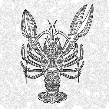 crayfish1/Decorative crayfish. Hand drawn vector illustration.