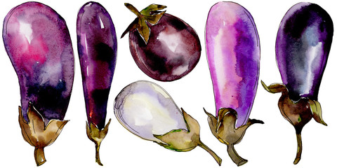 Eggplant healthy food in a watercolor style isolated. Full name of the vegetables: eggplant. Aquarelle wild vegetables for background, texture, wrapper pattern or menu.